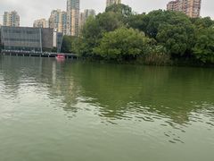 -青枫公园