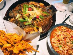 -老板恋上鱼(高新万达店)