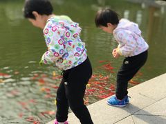 -西安华清御汤酒店