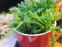 -四季大盘涮肉园(天竺店)