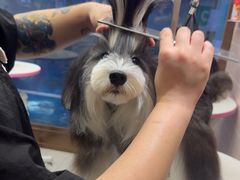 -FAELING PETS美天灵宠物(富力广场店)