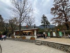 -塔川景区