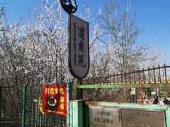 -北京麋鹿生态实验中心