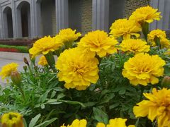 -遵义会议纪念馆