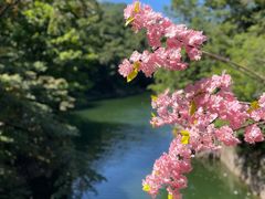 -本溪关山湖风景区