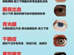 -上海大学附属上海和平眼科医院