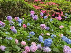 -常州古运河南大街文化旅游区-人民公园