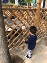 -萌宠亲子动物乐园(槐房万达店)