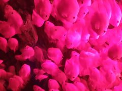 -多彩贵州城极地海洋世界