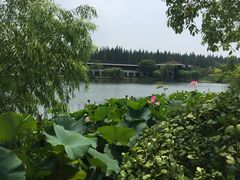 -上海怡沁园度假酒店