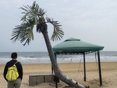 -日照海滨国家森林公园