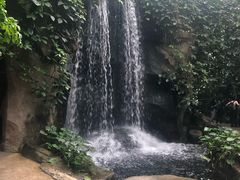 -南山植物园