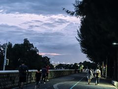 -宝安西湾红树林湿地公园