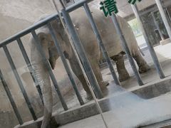 -石家庄市动物园