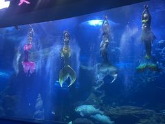 -多彩贵州城极地海洋世界