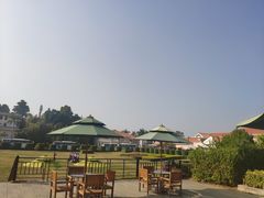 -厦门悦华酒店·绿庭主题自助餐厅