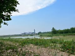 -盐城丹顶鹤湿地生态旅游区