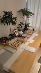 -东英经典SKIN&SPA