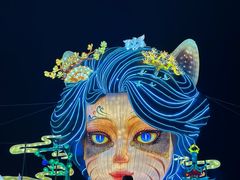 -淄博花灯齐彩城