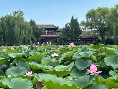 -莲池书院博物馆