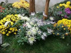 -杭州植物园