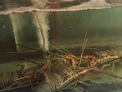 -金巴兰海滩烛光bbq