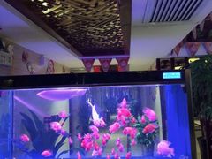 -重庆家富富侨养生会所全省示范店(东五路店)