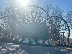 -呀路古热带植物园