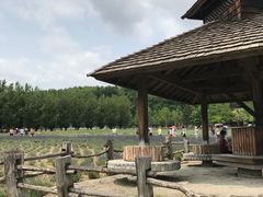 -富田农场