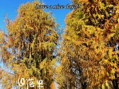 -广富林郊野公园