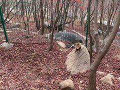 -崂山巨峰游览区