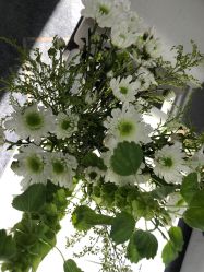 -HEYAN荷妍专业脱毛连锁机构