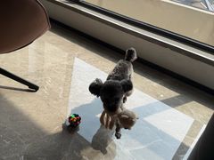 -乐行自行车运动乐园