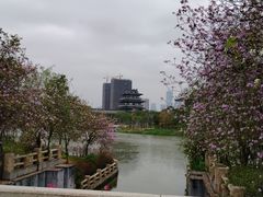 -海珠湖公园