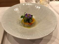 蓝旗金枪鱼塔塔-蝶舍·MAISON PAPILLON