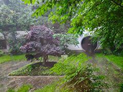 -杭州西湖柳莺里酒店·闻莺厅