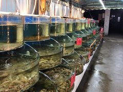 水产区-叶存利海鲜大馅饺子(东戴河止锚湾店)