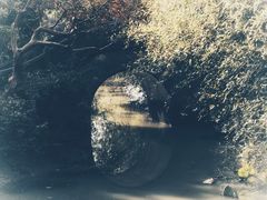 -韩湘水博园