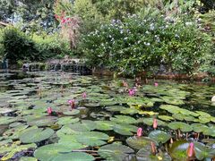 -海南热带野生动植物园