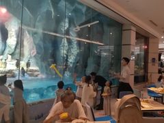 -帝企鹅自助餐厅•儿童岛•真企鹅(长隆企鹅酒店)
