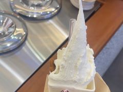 -野人先生Gelato(上海长宁龙之梦店)