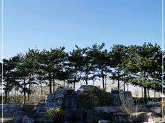 -古塔公园