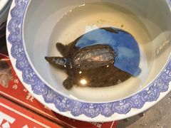 -魏铭鱼头捞饭(晋阳路店)