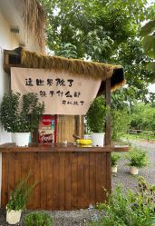 -DORA kids 朵拉儿童摄影花园店