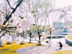 -江南大学(蠡湖校区)