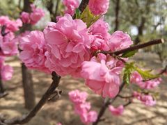 -朝阳公园