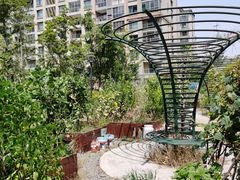 -梧桐人家中国太平国际健康颐养社区