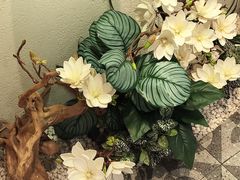 -霸王茶姬(正佳广场店)