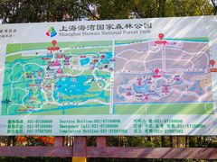 -上海海湾国家森林公园