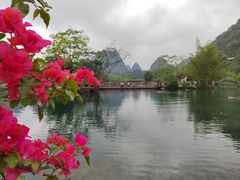 -靖西鹅泉风景区